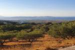 original IMG-20200815-WA0058